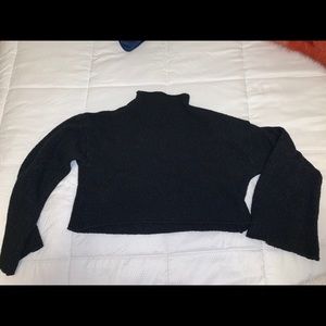 Charolette Russe cropped turtleneck sweater